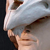 Fantasy clay bust